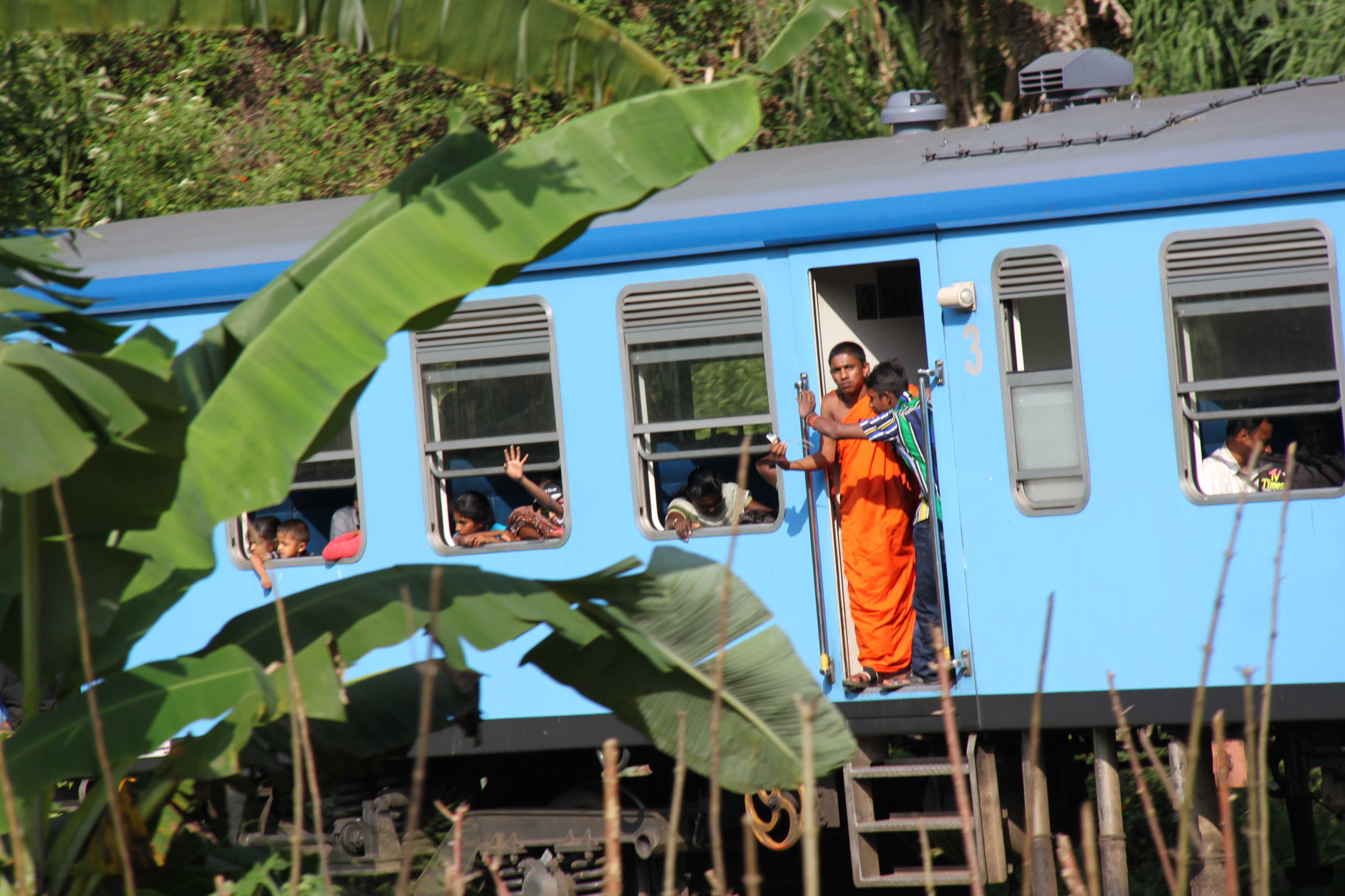 Train Sri Lanka moine 