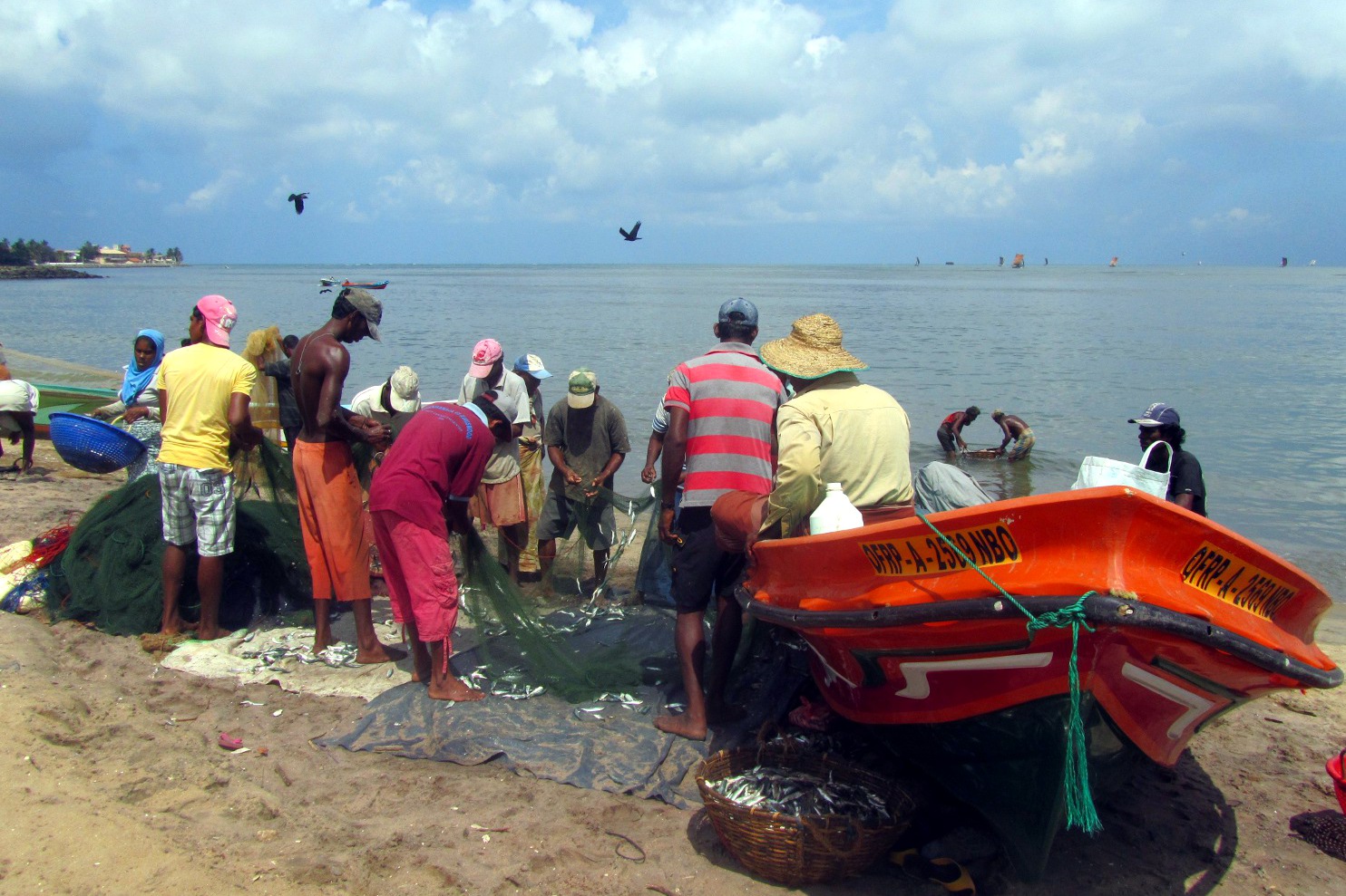 marché aux poissons de Negombo