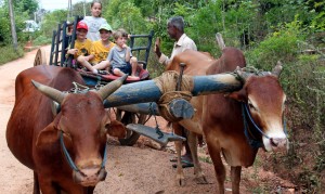 village trekking 2