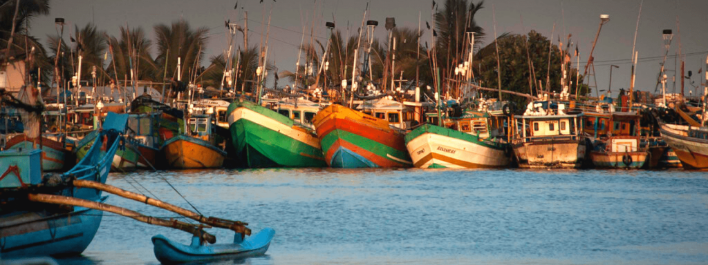 negombo-sri-lanka