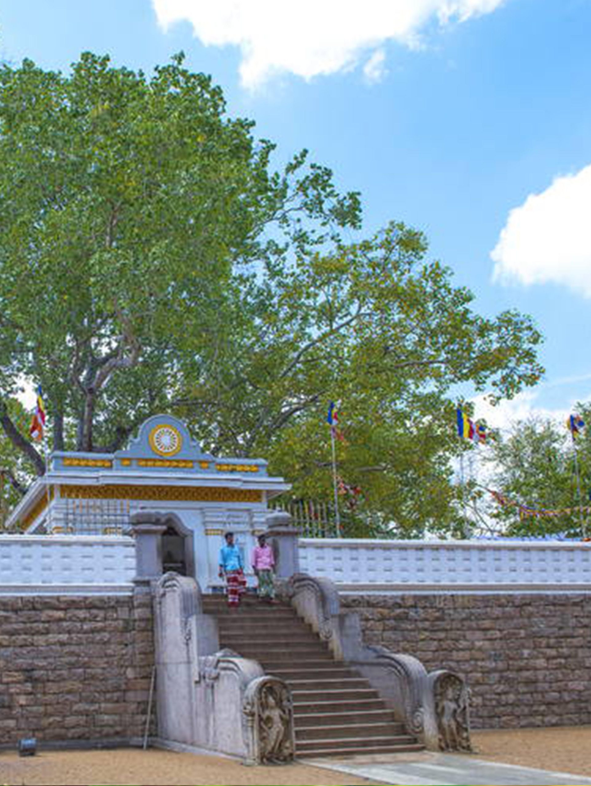 Escaliers sacrés de la ville sainte d'Anuradhapura, Sri Lanka