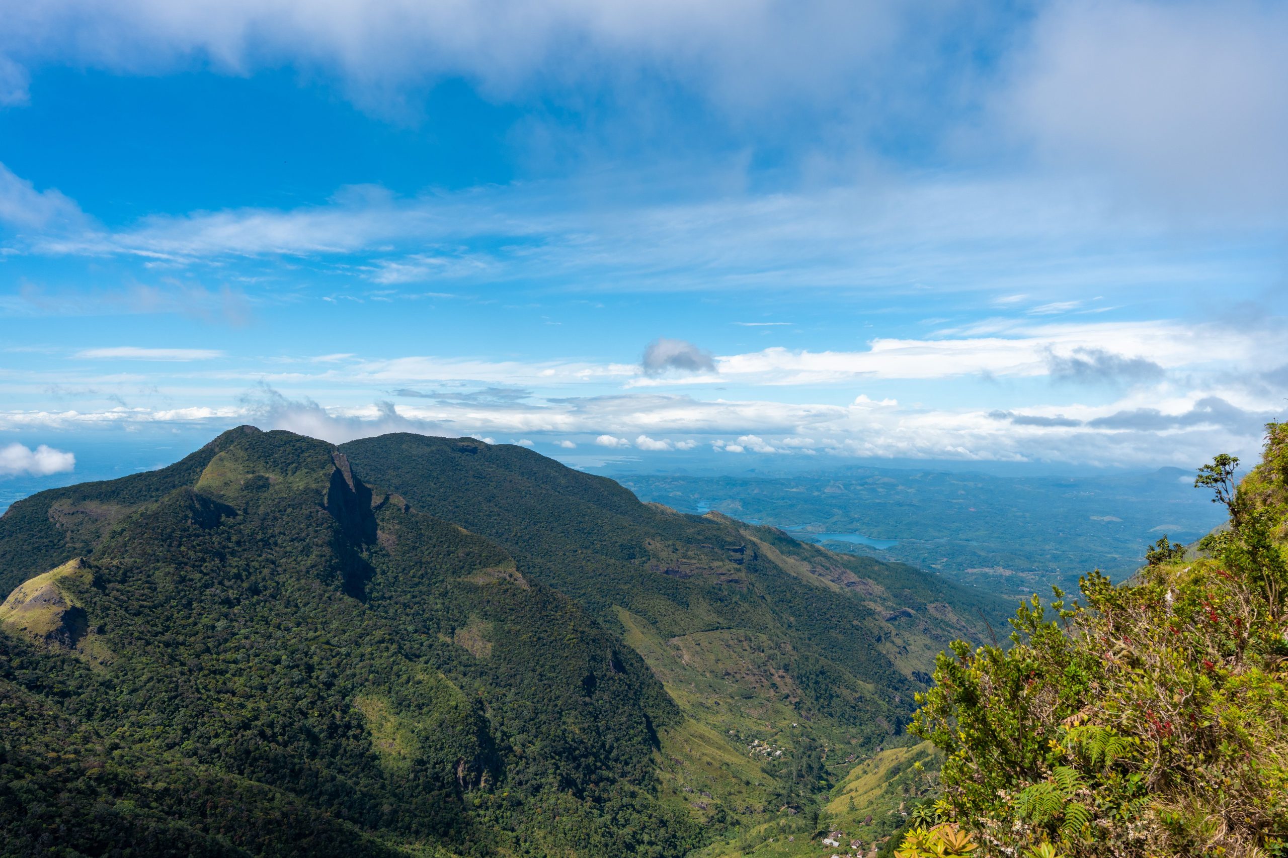 Pidurutalagala et Adam's Peak, hautes terres du Sri Lanka