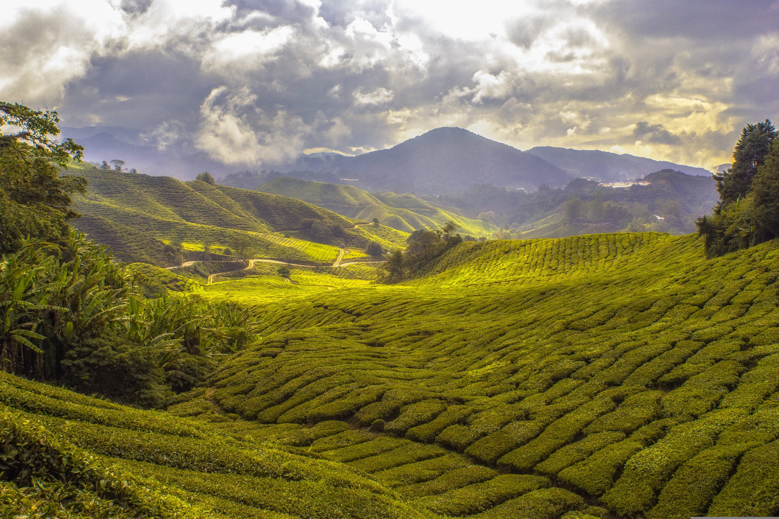 Nuwara Eliya, Little England du Sri Lanka